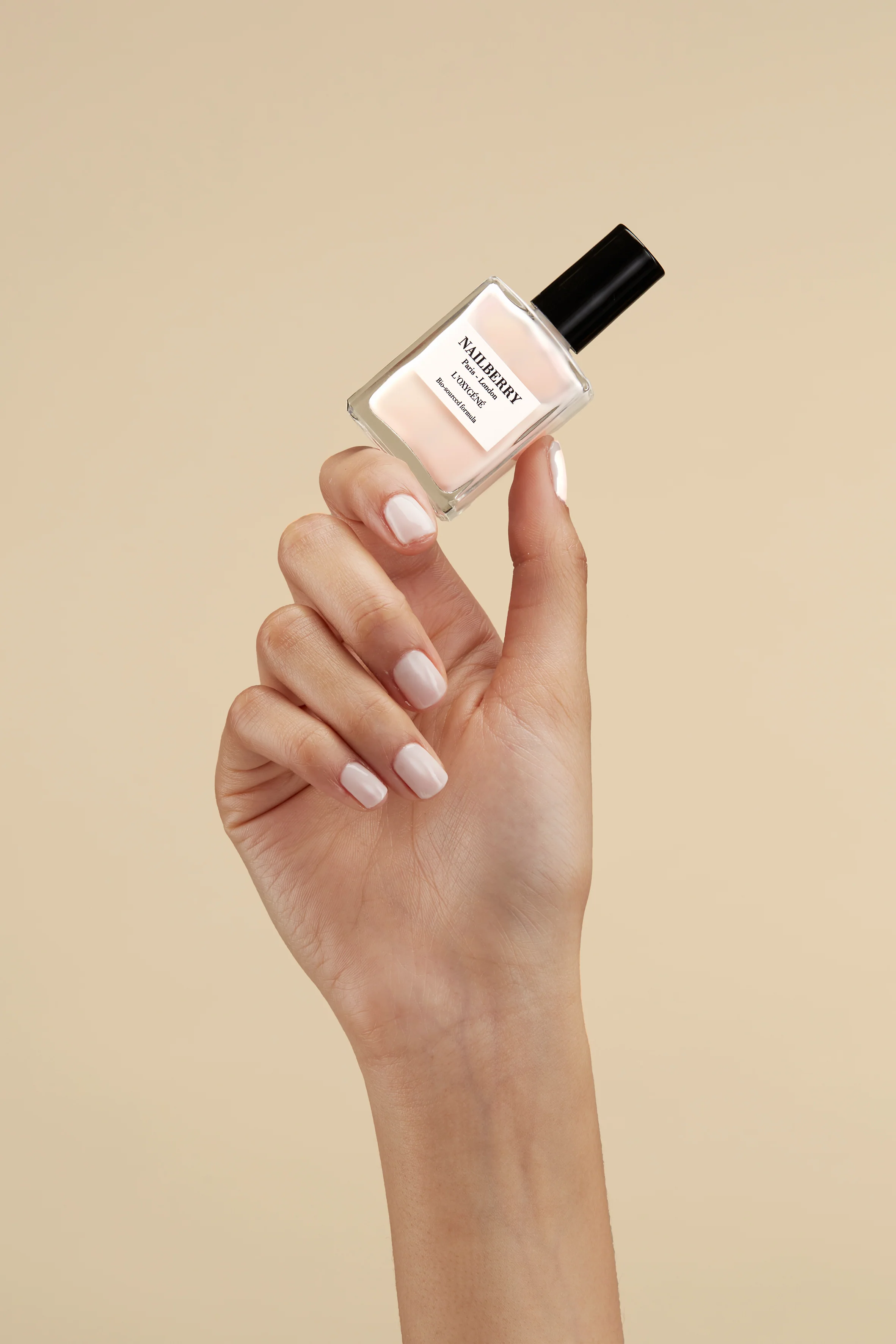 Almond - Image 2