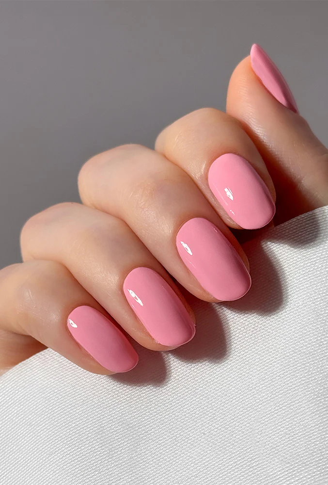 Imperial Blush - Image 2