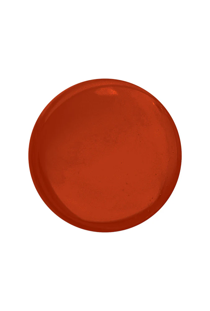 Pumpkin Pie - Image 9