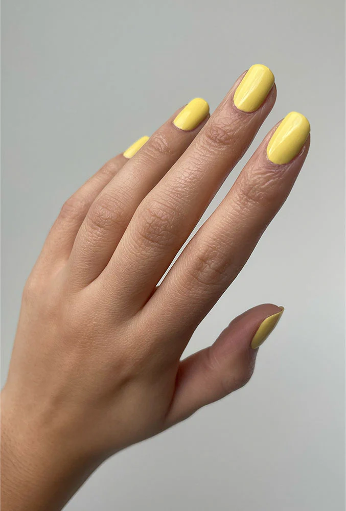 Simply The Zest - Image 3